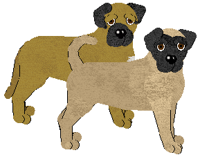 Bullmastiff - Abnormality