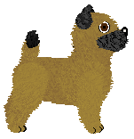 Cairn Terrier - Paranoia V2