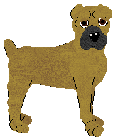 Cane Corso - Oak Meadows Kennel