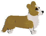 Cardigan Welsh Corgi - Faerie Barn Dance