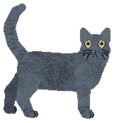 Chartreux - PDH's Resources