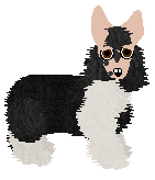 Chinese Crested - Paranoia (Powderpuff)