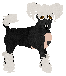 Chinese Crested - Abnormality (Hairless) V2