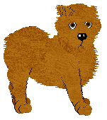 Chow Chow - Abnormality (Shorthair) V1