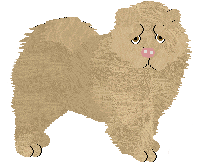 Chow Chow - Abnormality (Longhair) V2