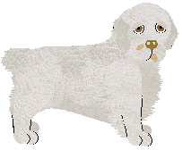 Clumber Spaniel - Abnormality V1