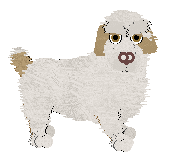 Clumber Spaniel - Faerie Barn Dance