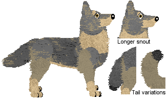 Czechoslovakian Wolfdog - VPZ