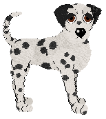 Dalmatian - PF Magic