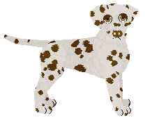 Dalmatian - Pheonix Blaze V2