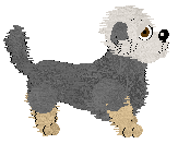 Dandie Dinmont Terrier - Abnormality
