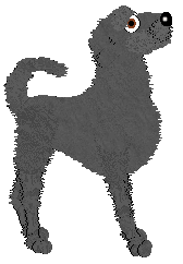 Deerhound - Tea