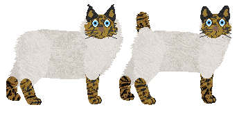 Desert Lynx - Supernova