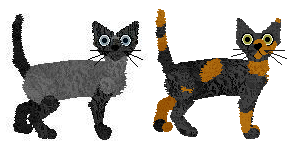 Devon Rex - Zodiac V1