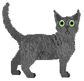 Devon Rex - Toto @ Brytyjski