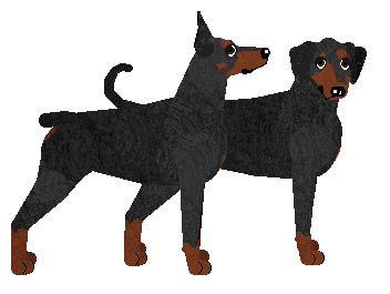 Dobermann - Dragonstone