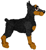 Dobermann - Faerie Barn Dance