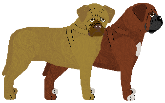 Dogue de Bordeaux - Grand Theft