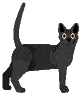 Don Sphynx - Supernova