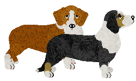 Drever - Abnormality