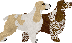 English Cocker Spaniel - Lime Green Flamigos