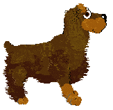 English Cocker Spaniel - Unknown