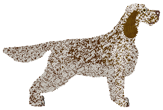 English Setter - Lime Green Flamingos