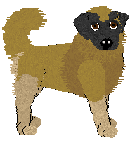 Estrela Mountain Dog - Phoenix Blaze