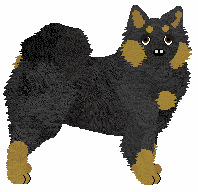 Eurasier - Supernova V1