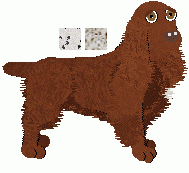 Field Spaniel - Abnormality