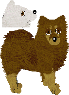 Finnish Lapphund - Supernova V1