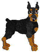 German Pinscher - Faerie Barn Dance