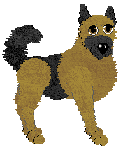 German Shepherd Dog - Unknown