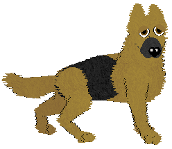 German Shepherd Dog - AR/Cierra