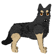 German Shepherd Dog - Supernova V1