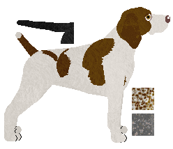 German Shorthaired Pointer - Java