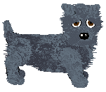 Glen of Imaal Terrier - Amenity/Rosestone