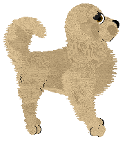 Golden Retriever - Amenity/Rosestone V2