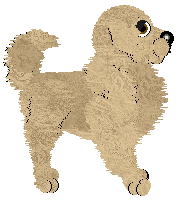 Golden Retriever - Amenity/Rosestone V1