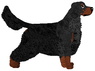 Gordon Setter - Lime Green Flamingos