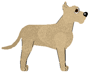 Great Dane - Unknown