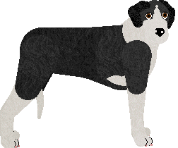 Great Dane - Lime Green Flamingos