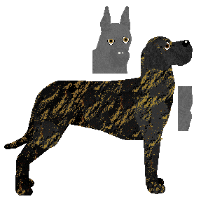 Great Dane - Abnormality V3