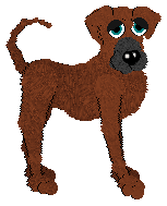 Great Dane - Selective Bred