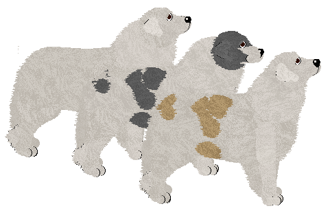 Great Pyrenees - Cirrutopia V3