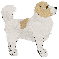 Great Pyrenees - Abnormality V1