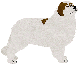 Great Pyrenees - Abnormality V2