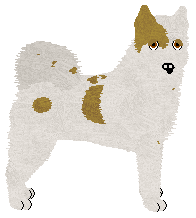 Greenland Dog - Moonlite Morning Kennels