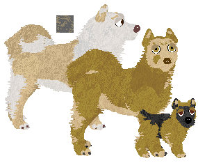 Greenland Dog - Butterfly Fieldz