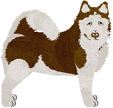 Greenland Dog - Filigree